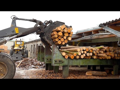 The Process of Making Pallet Wood from Tree Trunks – Not Just Planks! | Sawmill Work
