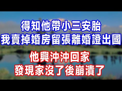 得知他帶小三安胎，我賣掉婚房留張離婚證出國，他興沖沖回家，發現家沒了後崩潰了！#人生感悟 #原创视频 #故事分享 #为人处世 #生活經驗 #打脸