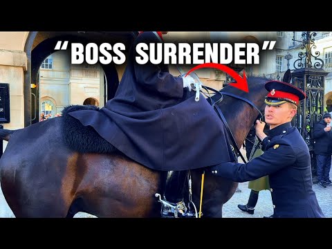 MASSIVE MELTDOWN: BOSS SURRENDERS AT LAST 