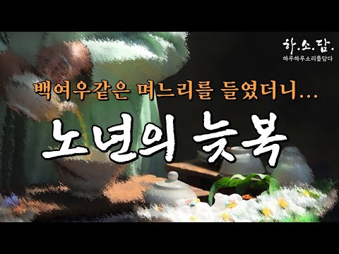 백여우같은 며느리때문에! 노년에 늦복이 찾아왔다는데... [김진초 단편소설] #하소담오디오드라마