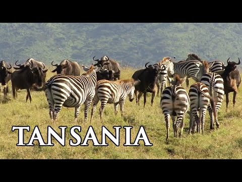 Tansania: Serengeti, Sansibar und Kilimanjaro