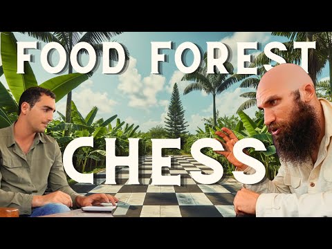 FOOD FOREST design is like CHESS