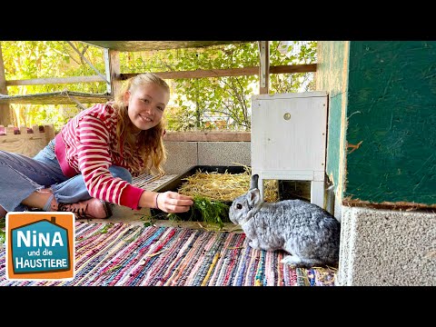 Kaninchen | Information für Kinder | Nina und die Haustiere