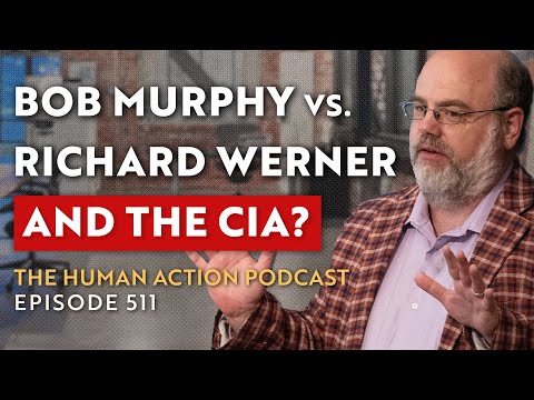 Responding to Richard Werner on Banking