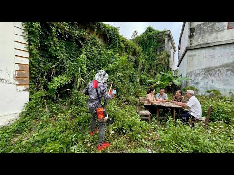 ASMR This is a villa that was overgrown with weeds, a quick cleanup and revival video.