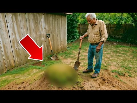 Rich Widow Dared Black Gardener to Fix Dead Garden—What He Dug Up Destroyed Her