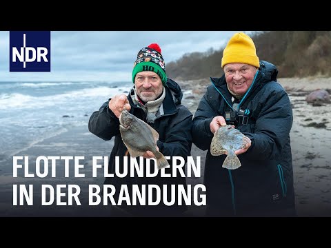 So fängt man Flundern in MV | Rute raus, der Spaß beginnt! – Videopodcast | NDR Doku