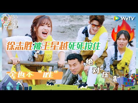 【泥潭纯享】徐志胜王子奇昔日队友反目成仇 沈月王星越岸边着急大喊犯规《五十公里桃花坞 第四季》Wonderland S4 EP5 CLIP