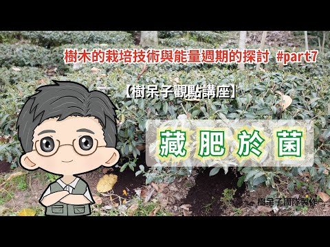 【樹呆子觀點講座】#藏肥於菌 #樹木的栽培技術與能量週期的探討 #part7
