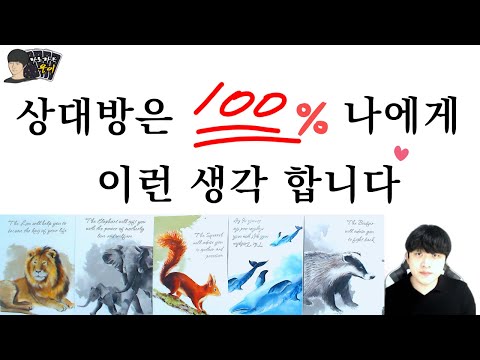 (Tarot) That Person's True Feelings (Feat. Some, Reunion, Unrequited Love, Breakup, Couple)