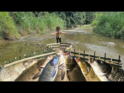 Traditional Fishing Techniques to Catch Giant Fish with Many Skills - Bamboo Woven Fish Trap