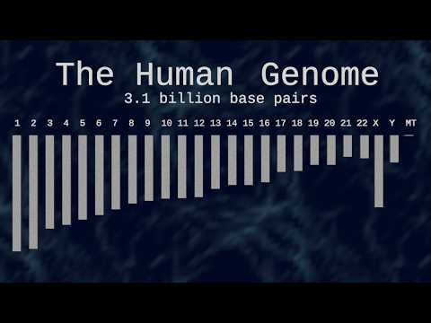 The Golden Age of Genomics