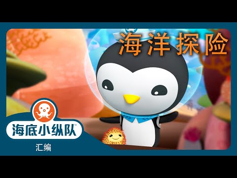 海底小纵队 - 🐚 海洋探险 🪸 | 汇编 | 集完整版