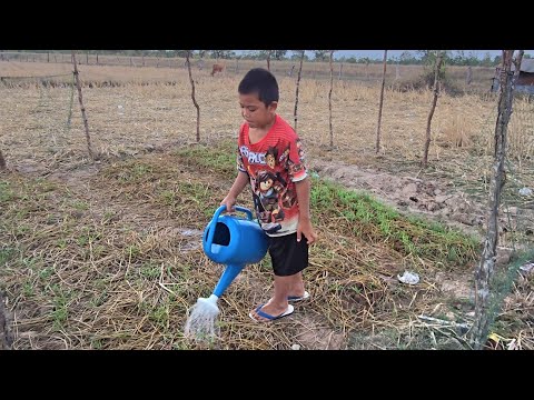 สายฟ้าคนเก่งกำลังหดผักมาดูกันครับ19 ธันวาคม ค.ศ. 2025