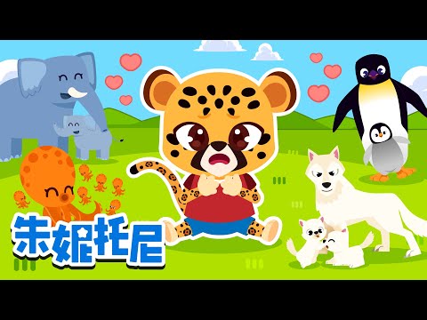小动物在找妈妈🐯 | 动物宝宝和爸爸妈妈💖 | 动物宝宝们 | 和动物们一起跳舞 | 动物儿歌 | Kids Song in Chinese | 兒歌童謠 | 卡通動畫 | 朱妮托尼童話故事