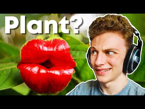 Ranking the Earth's WEIRDEST Plants...