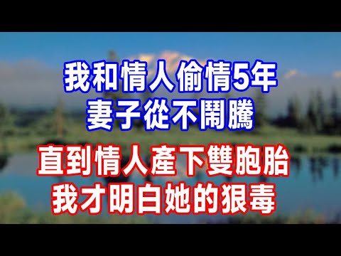 我和情人偷情5年，妻子從不鬧騰，直到情人產下雙胞胎，我才明白她的狠毒！#生活經驗 #人生感悟 #故事分享 #打脸 #原创视频