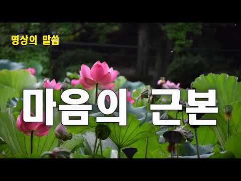 하루 1번만 들어라! 마음의 근본 , 명상의 말씀 ,엄주환 명상의 말씀