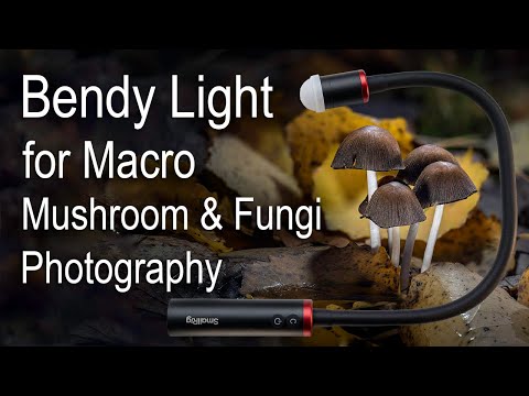 Bendy Light for Macro Mushroom & Fungi Photography - Smallrig RM03