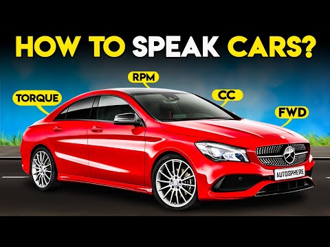 This is EVERYTHING YOU NEED to Know About CARS!