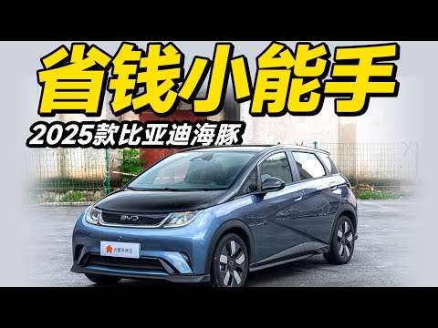 加量不加价，新款BYD海豚怎么选？【大家车言论】