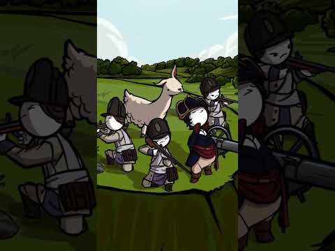 The 3 STRANGEST pets in History #animation