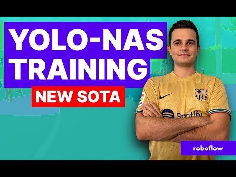 Train YOLO-NAS - SOTA Object Detection Model - on Custom Dataset