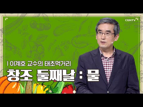 창조 둘째날: 물 | 이계호 교수 | 이계호 교수의 태초먹거리 | 3편