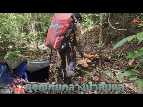 เข้าป่าดงดิบ เหมืองเก่าบ้านร้างกลางป่าลึก ep.253เริ่มต้นการเดินทาง ผจญภัยพื้นที่ลึกลับ เกือบไม่รอด