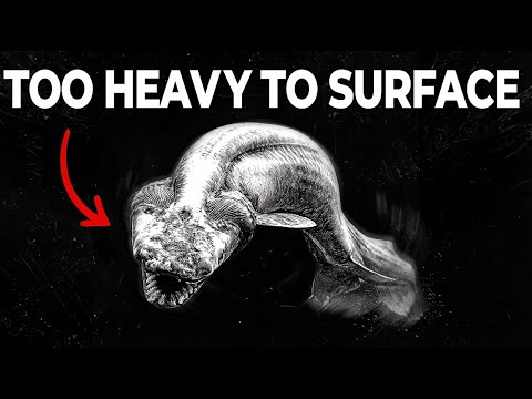 The SHOCKING Truth About the Bermuda Triangle