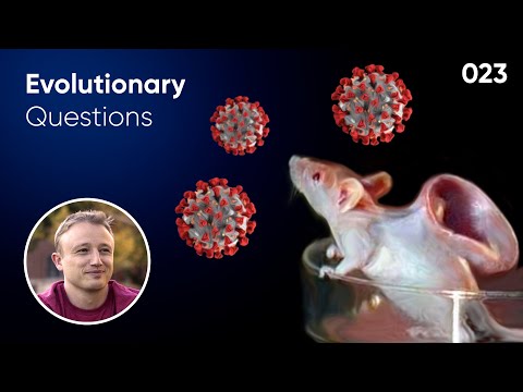 What is Gain-of-Function research? Evolutionary question #23