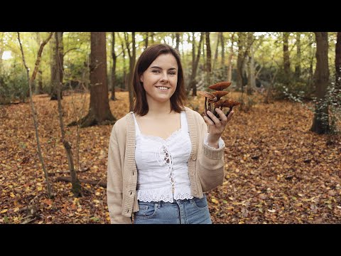 Loss, love and crazy ideas... 🍄 Autumn in Northern Sweden.