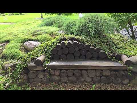 Частный сад. Из простого в прекрасное.