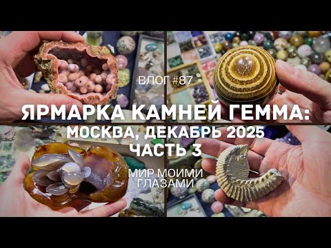 Выставка-ярмарка Гемма - Москва, декабрь 2025. Часть 3.