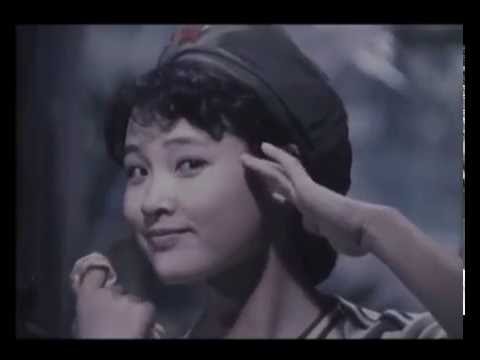 海外赤子   陈冲、秦怡主演。