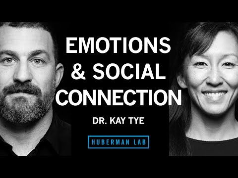 The Biology of Social Interactions & Emotions | Dr. Kay Tye