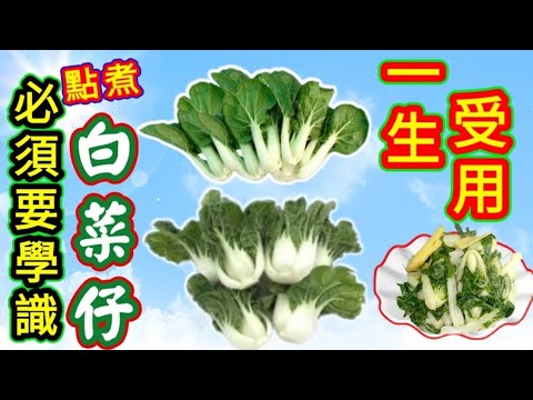 白菜仔🔵 要學識炒🔵 學識滾湯🔵 寒涼變溫補🔵 有方法🔵 好簡單🔵 家庭主流菜式🔵 學識人人讚美🔵