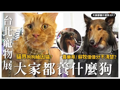 台北寵物展-大家都養什麼狗EP.6 ｜熊爸估狗