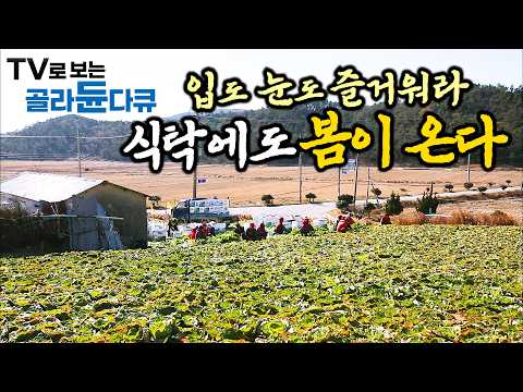 🌱맛 참 좋다! 입도 눈도 즐거운 봄철 제철 밥상 1시간 몰아보기🌱｜한국기행｜#tv로보는골라듄다큐
