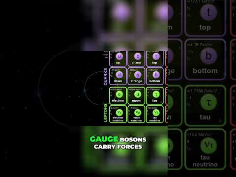 How 17 Particles Control All of Reality #science #cosmology #learning