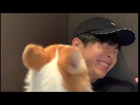 2023.09.08 Ian陳卓賢一年一度仍在live