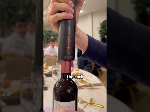 Electric Wine Bottle Opener Leaves Diners SPEECHLESS!🍷