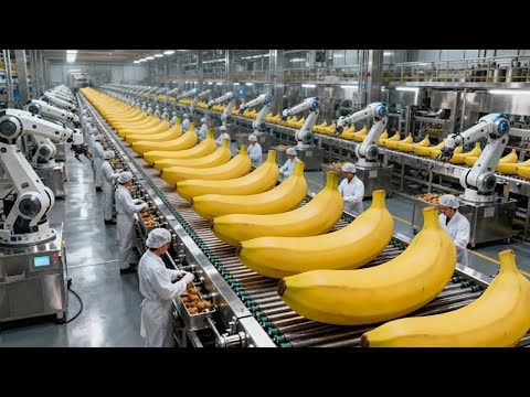 Inside a banana bread factory in the future – An incredible automated production process