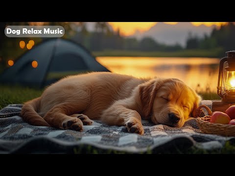 12 Hours Healing Music for Dogs 🐶 Dog Relaxing Music 🎶 Sleep & Stress Relief For Dogs