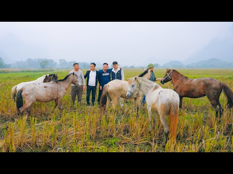 SAPA TV | CÙNG NGUYỄN TẤT THẮNG MUA NGỰA NẤU THẮNG CỐ TẠI HỘI CHỢ THƯƠNG MẠI QUỐC TẾ VIỆT TRUNG