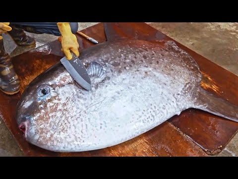 Amazing！Various Seafood Catching, Fish Cutting Skills Collection / 最驚奇的！各種海鮮捕捉過程, 魚的切割技-海鮮大合集