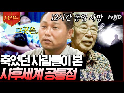 [#티전드] 저승에서 돌아온 사람들? 오싹하면서 궁금한 사후세계😨 알 수 없는 그곳의 진실은 과연... | #리얼스토리묘