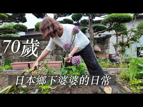 🇯🇵 70歲住在鄉下日本人婆婆的日常。