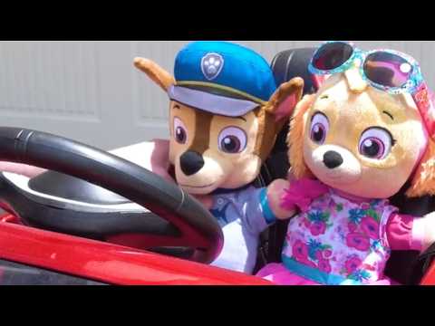 Baby Pups Videos | Paw Patrol's Skye and Chase's fun day at the Playground No Bullying at School