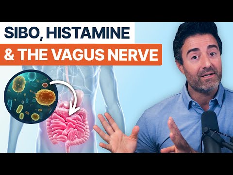 SIBO, Histamine & the Vagus Nerve